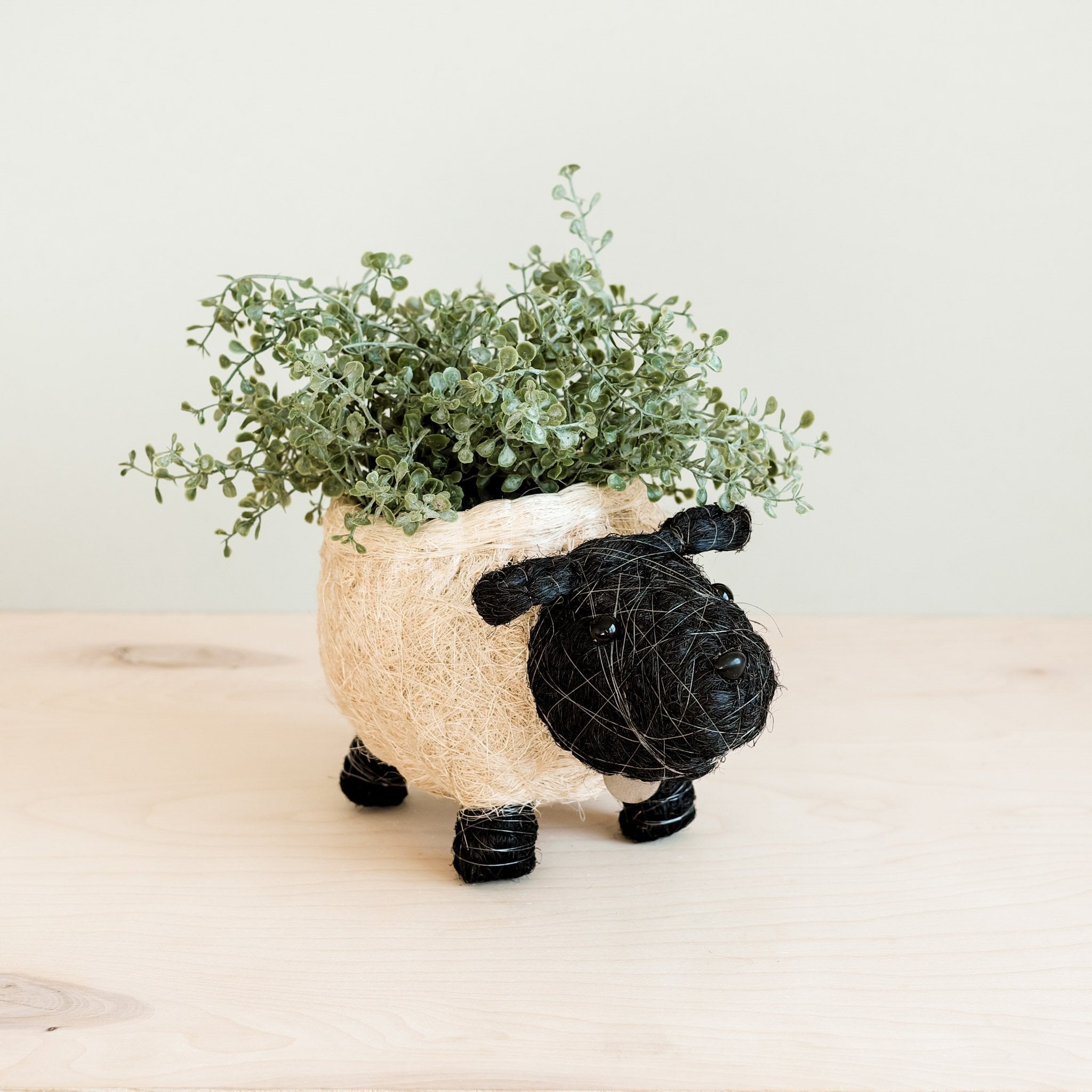 Sheep Planter - Coco Coir Pots | Likhâ