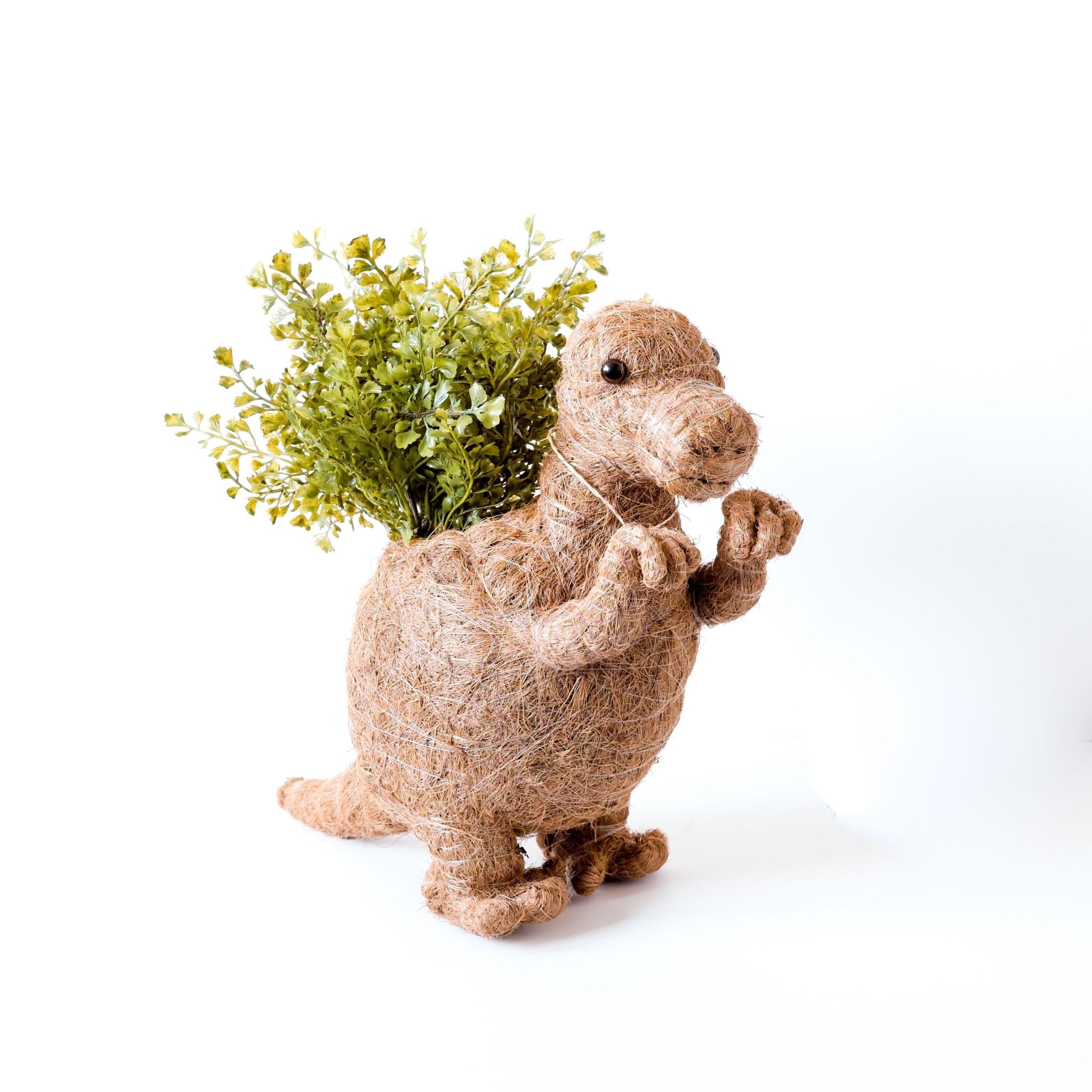 T-rex Planter - Coco Coir Pots | Likhâ