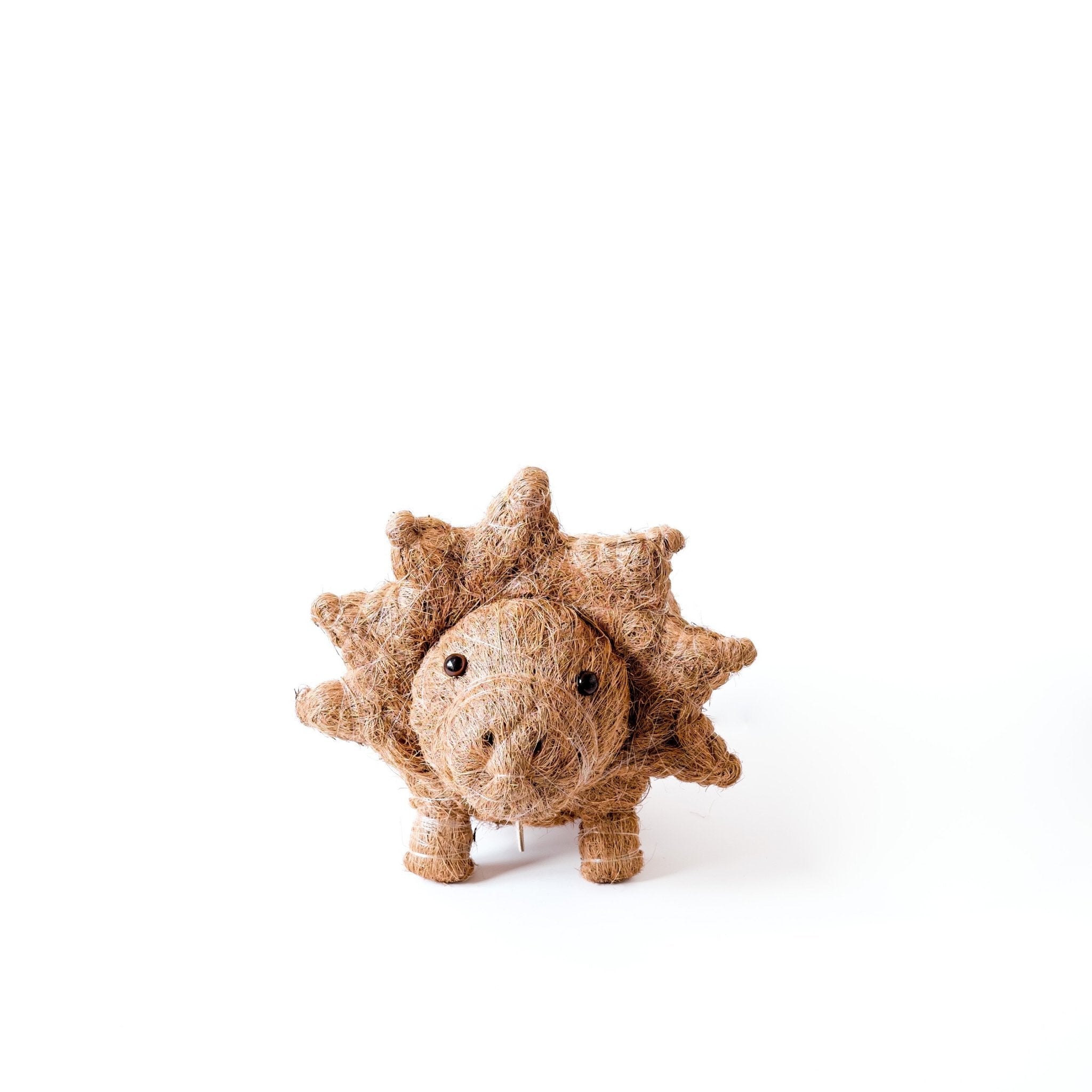 Triceratops Planter - Coco Coir Pots | Likhâ