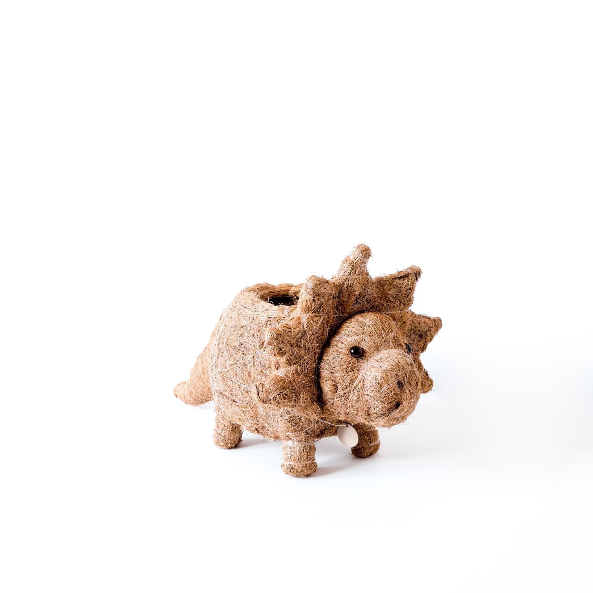 Triceratops Planter - Coco Coir Pots | Likhâ