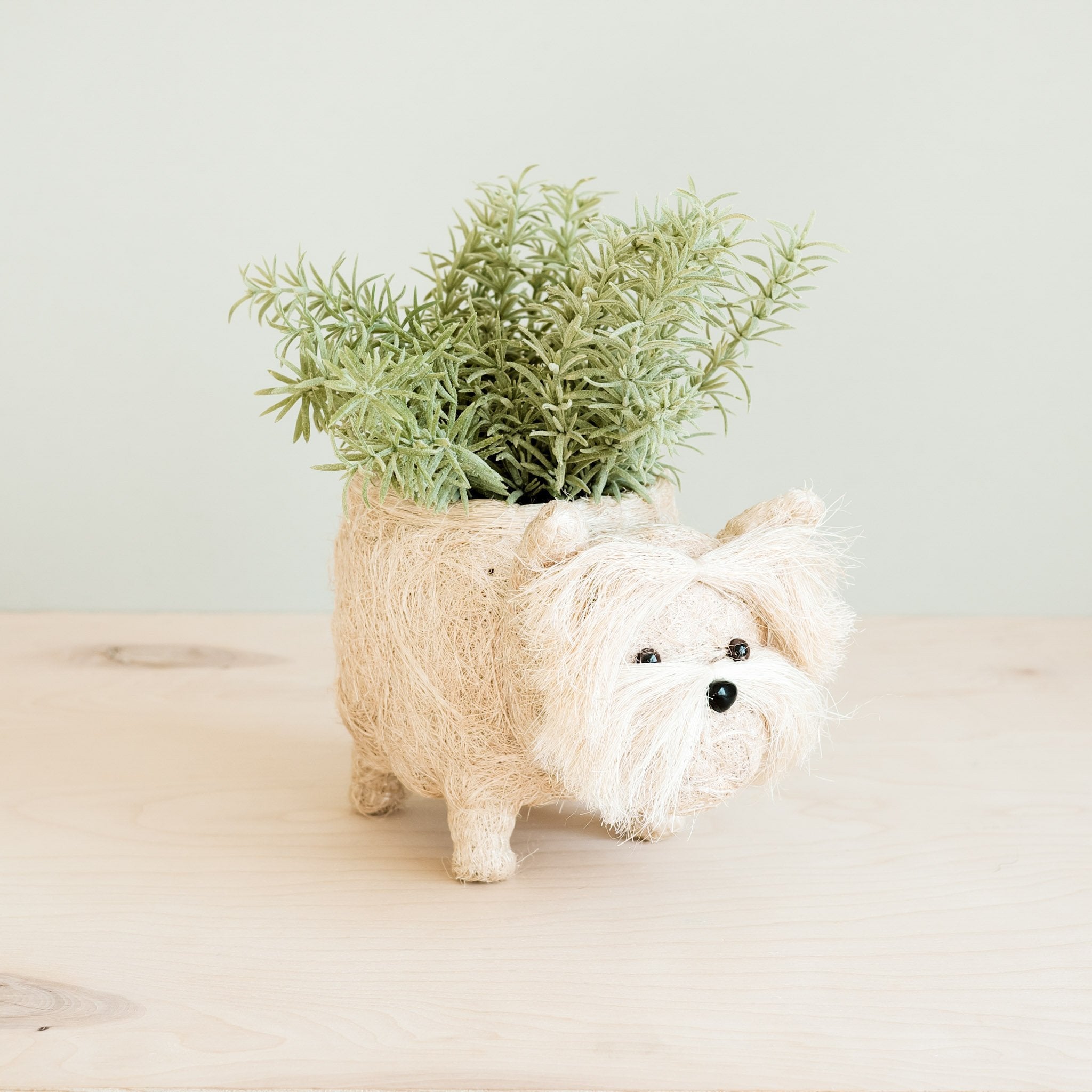 Westie Planter - Coco Coir Pots | Likhâ