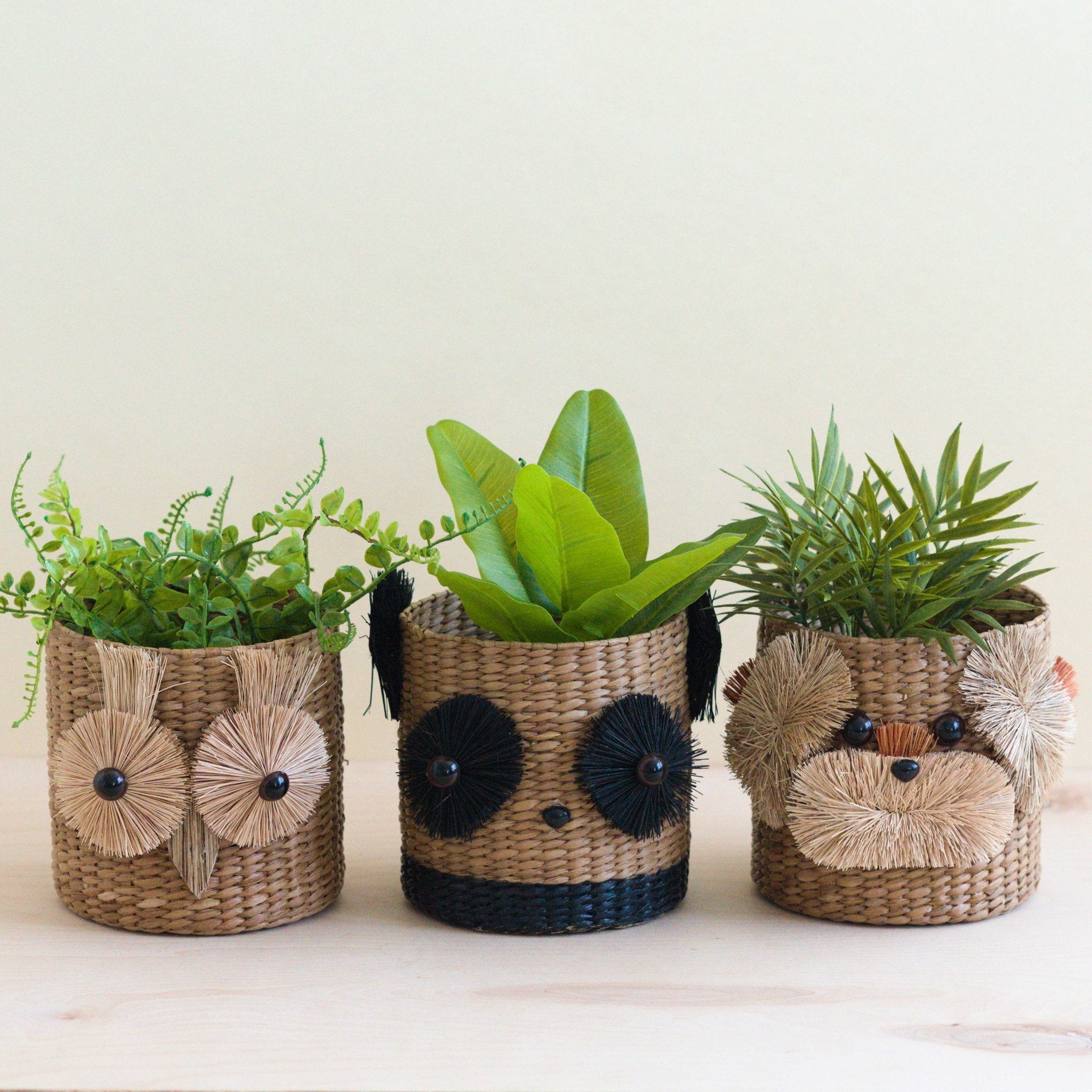 Owl 6" Seagrass Basket Planter - Succulent Plant Pot | Likhâ