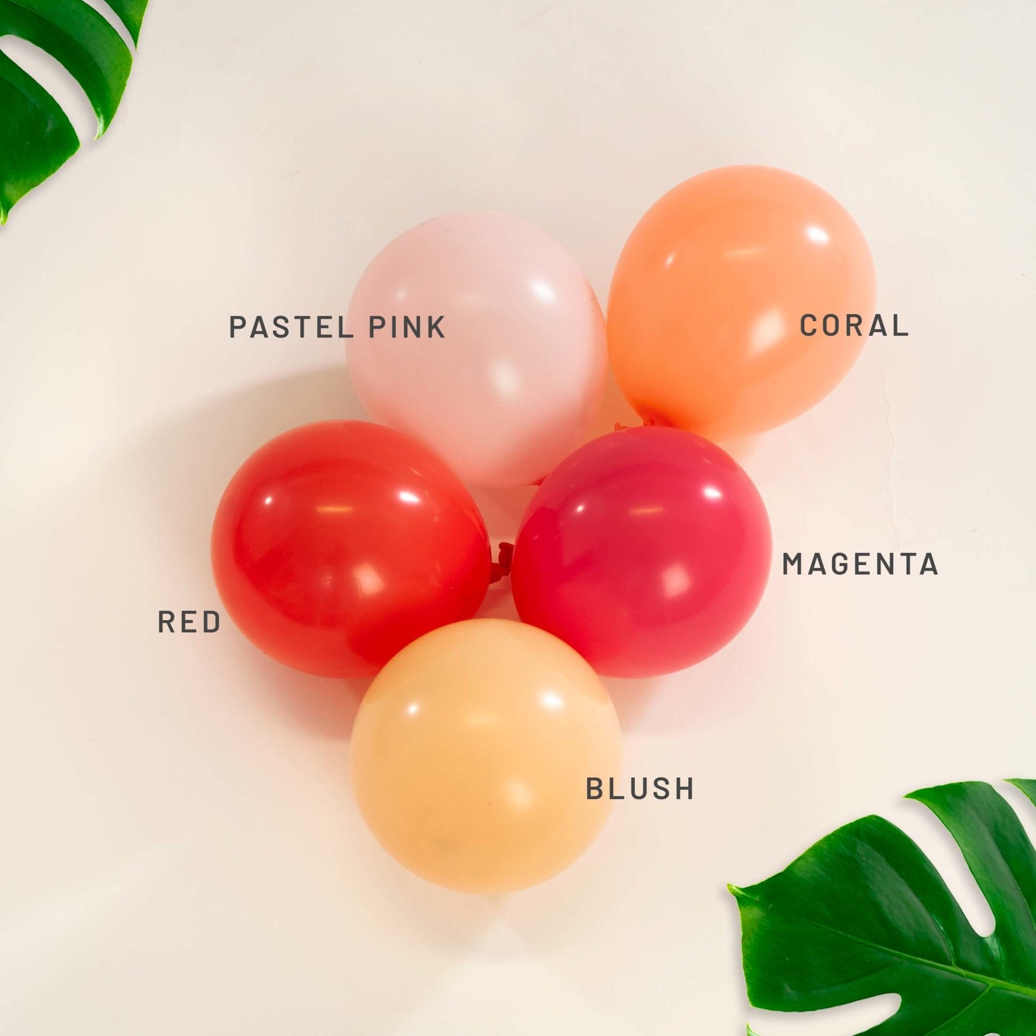 Premium Magenta Latex Balloon Packs (5", 11”, 16”, 24" And 36”)