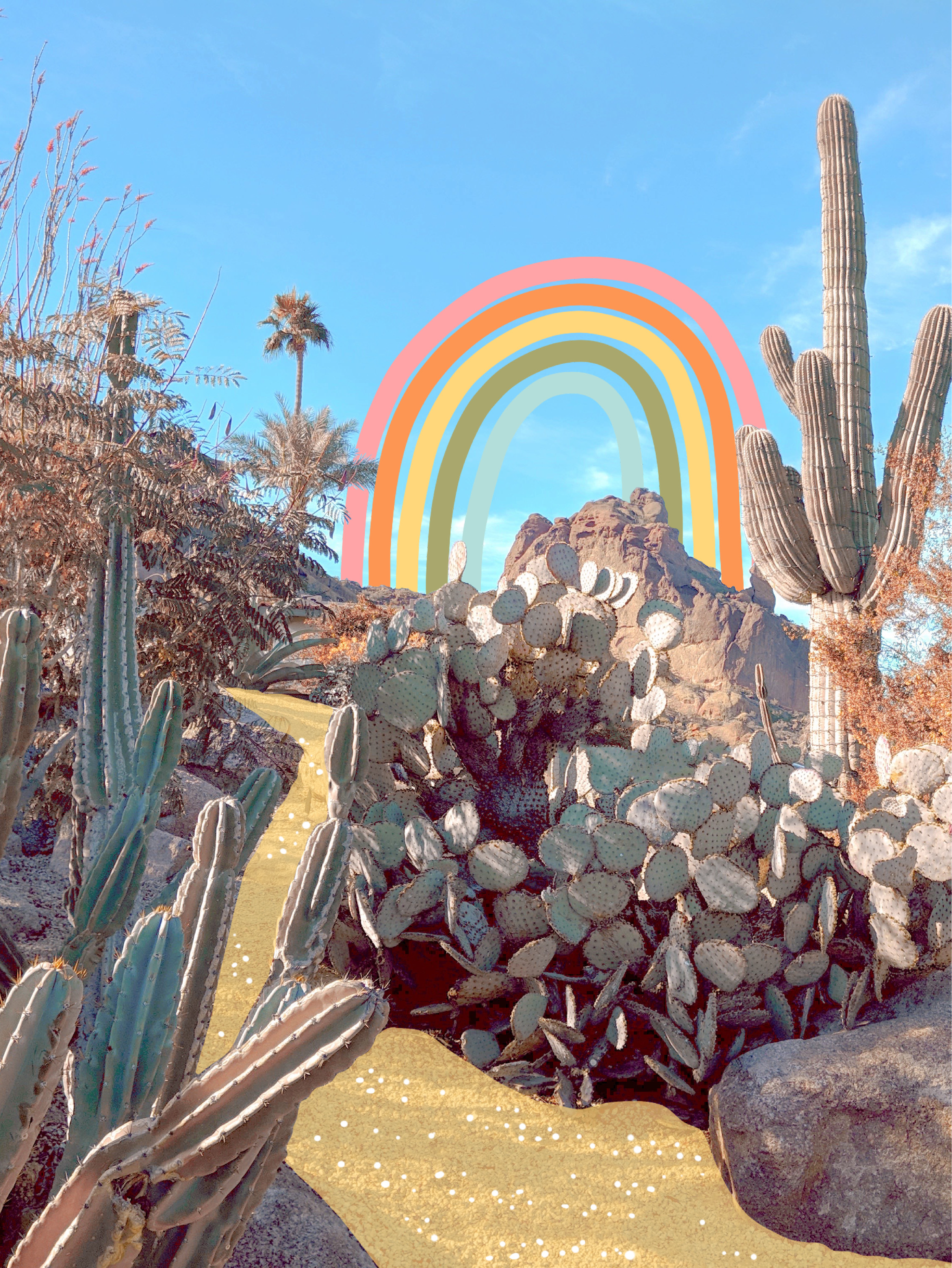 Cactus Poster - 12x16