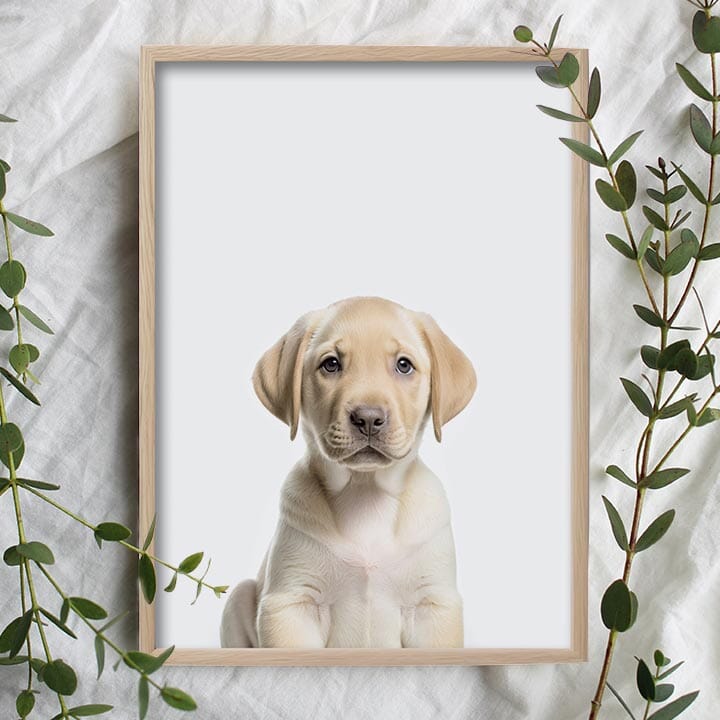 Puppy Love Wallpaper