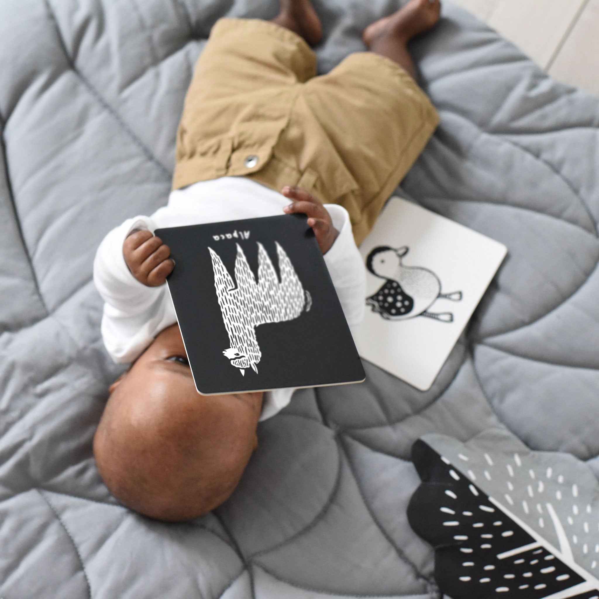 Art Cards For Baby - Baby Animals Collection