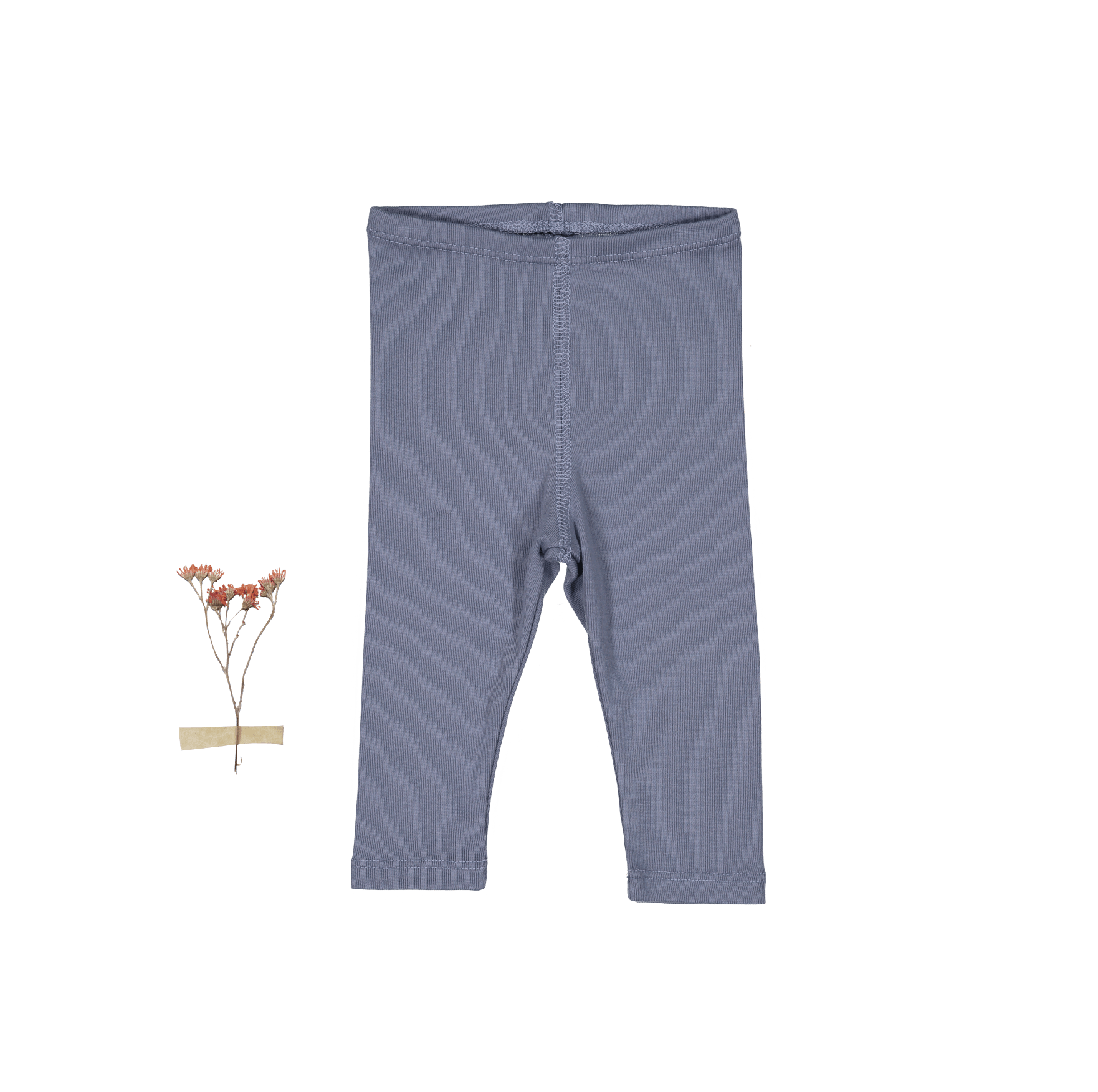 The Legging - Midnight