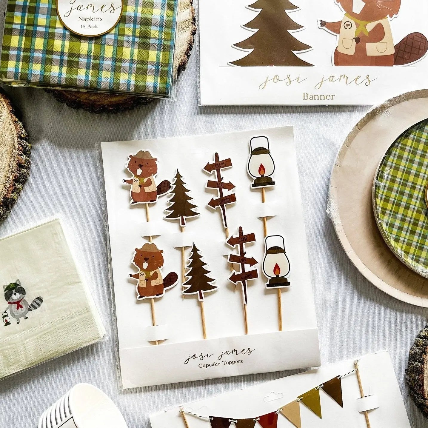 Scout Pennant Banner