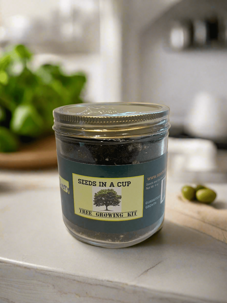 Oak Tree | Seed Starter Grow Kit |