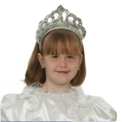 Silver Tiara With Veil