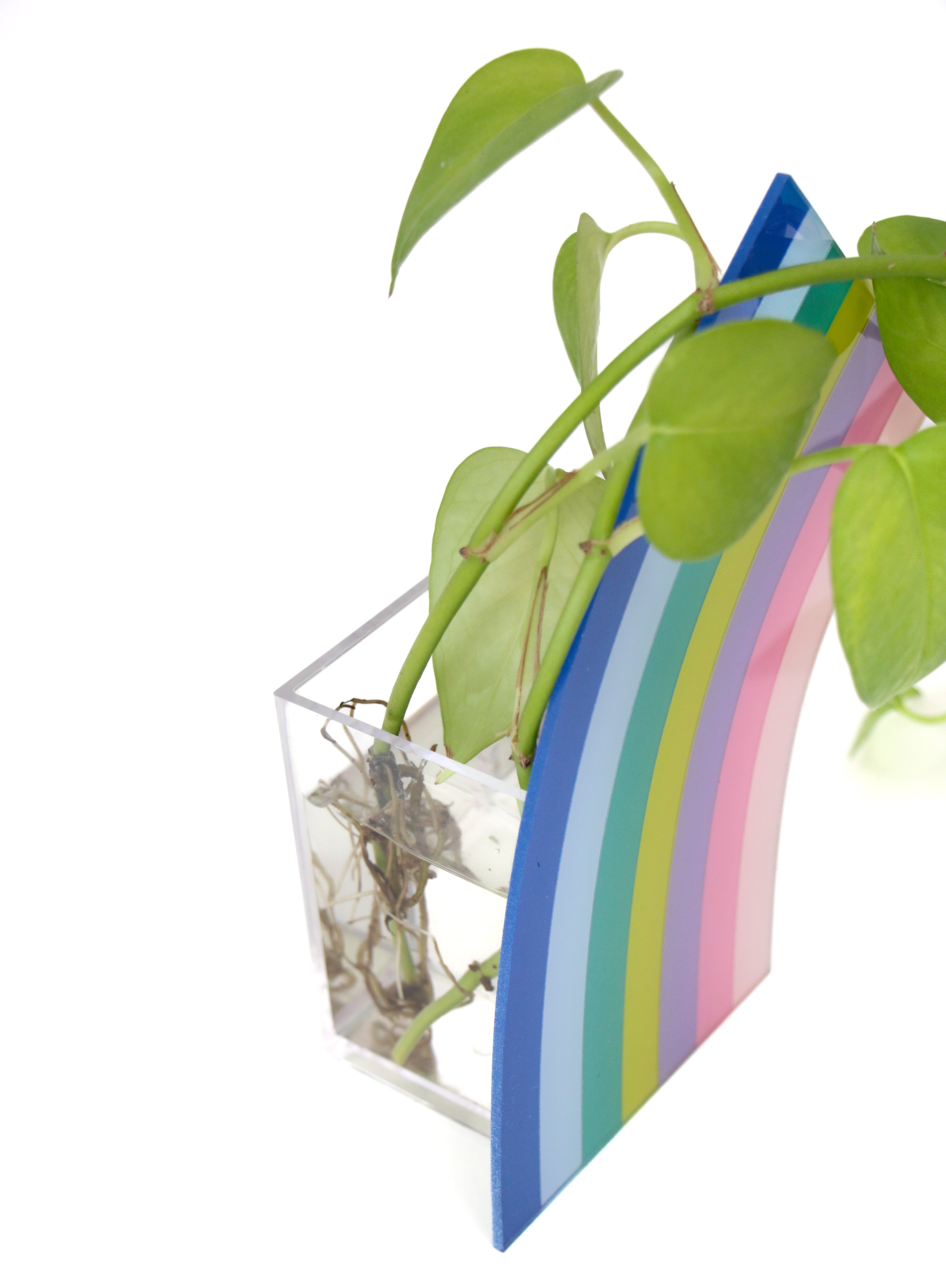 Blue Half Rainbow Arch Standing Propagation Planter