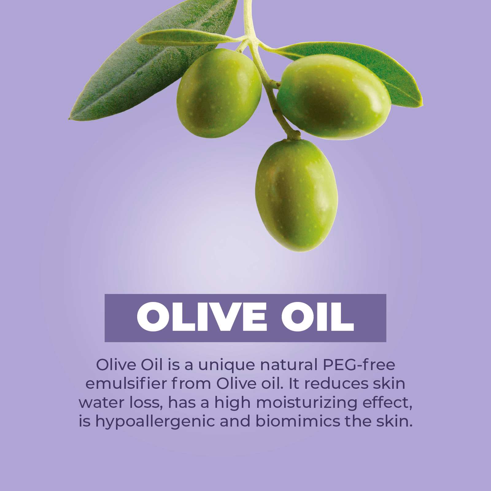 Stretch Marks Triple Action | 7.5oz (212g)