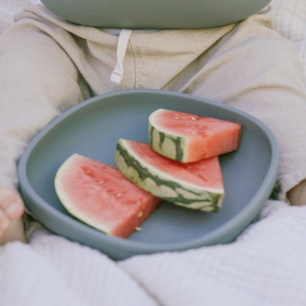 Silicone Suction Plate