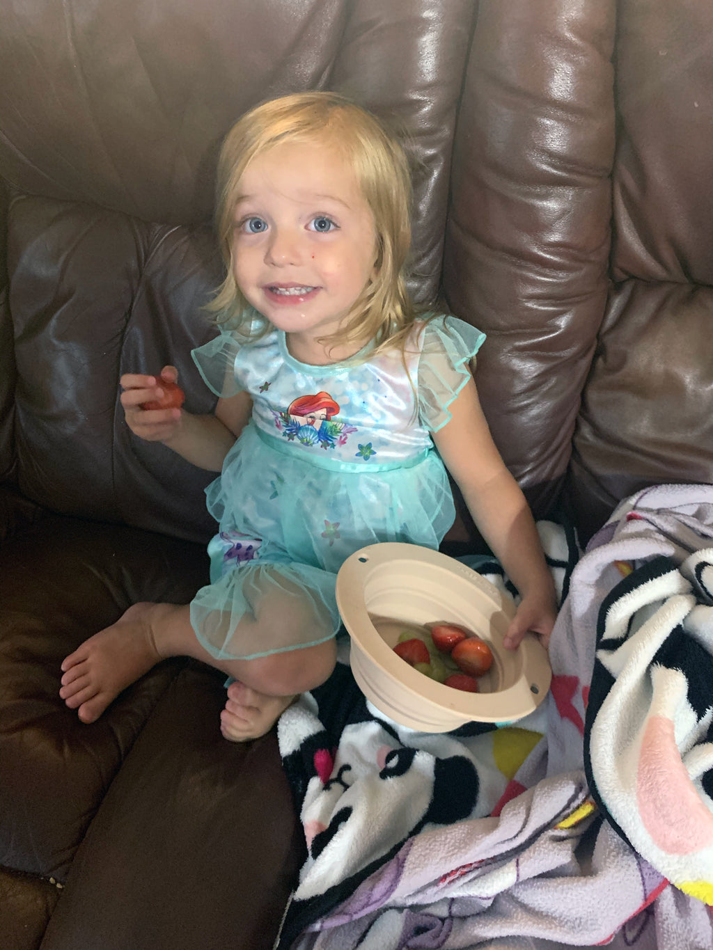 Sugar Cookie Collapsible Bowl For Travel Or Home