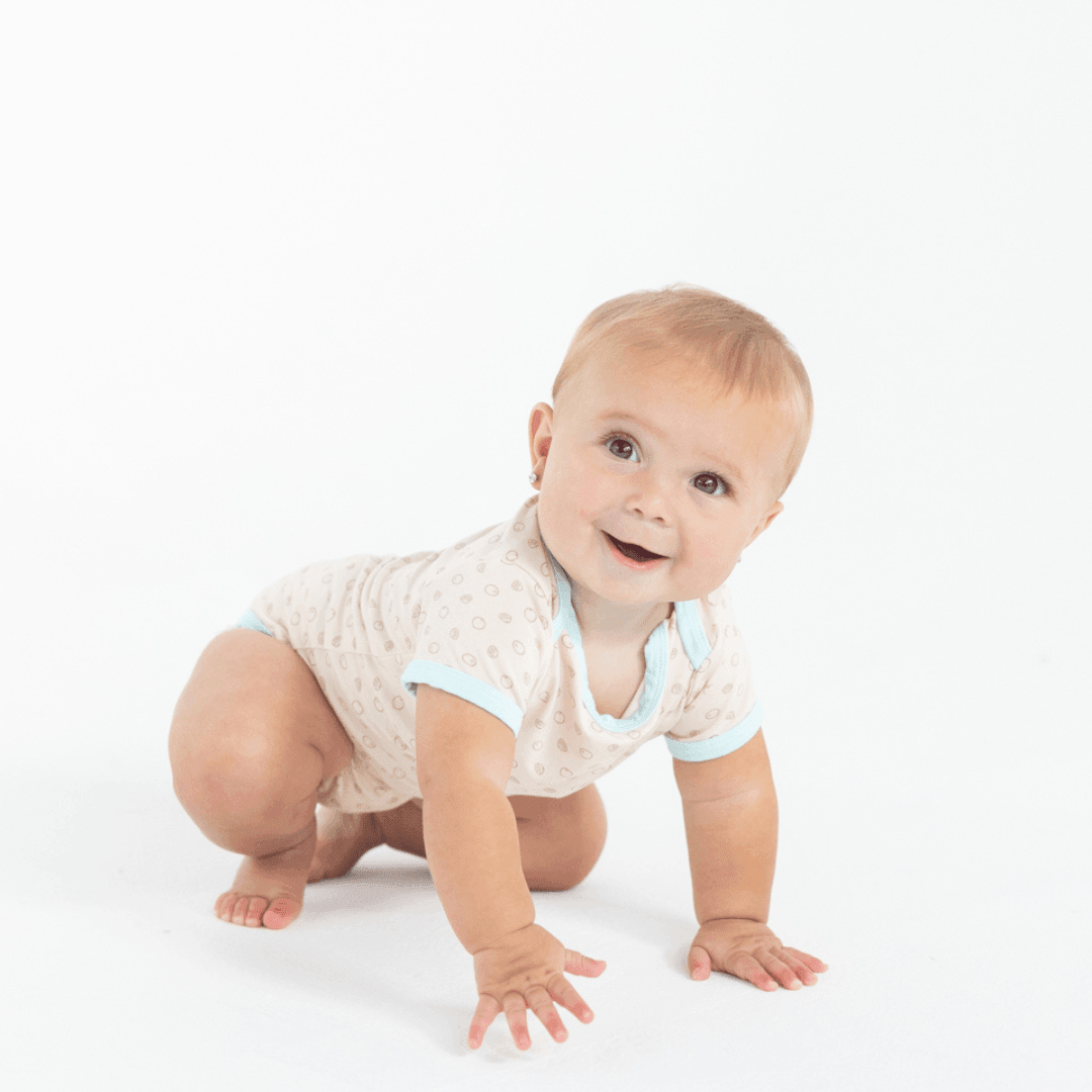 The Harper In Coconuts