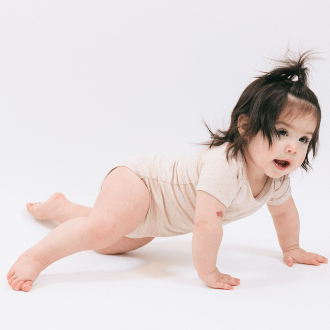 The Harper In Oatmeal