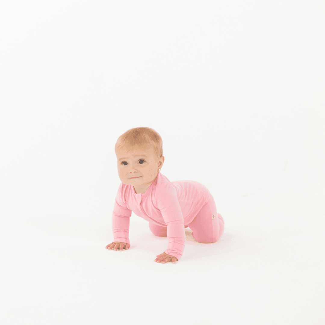 The Poppy In Flamingo