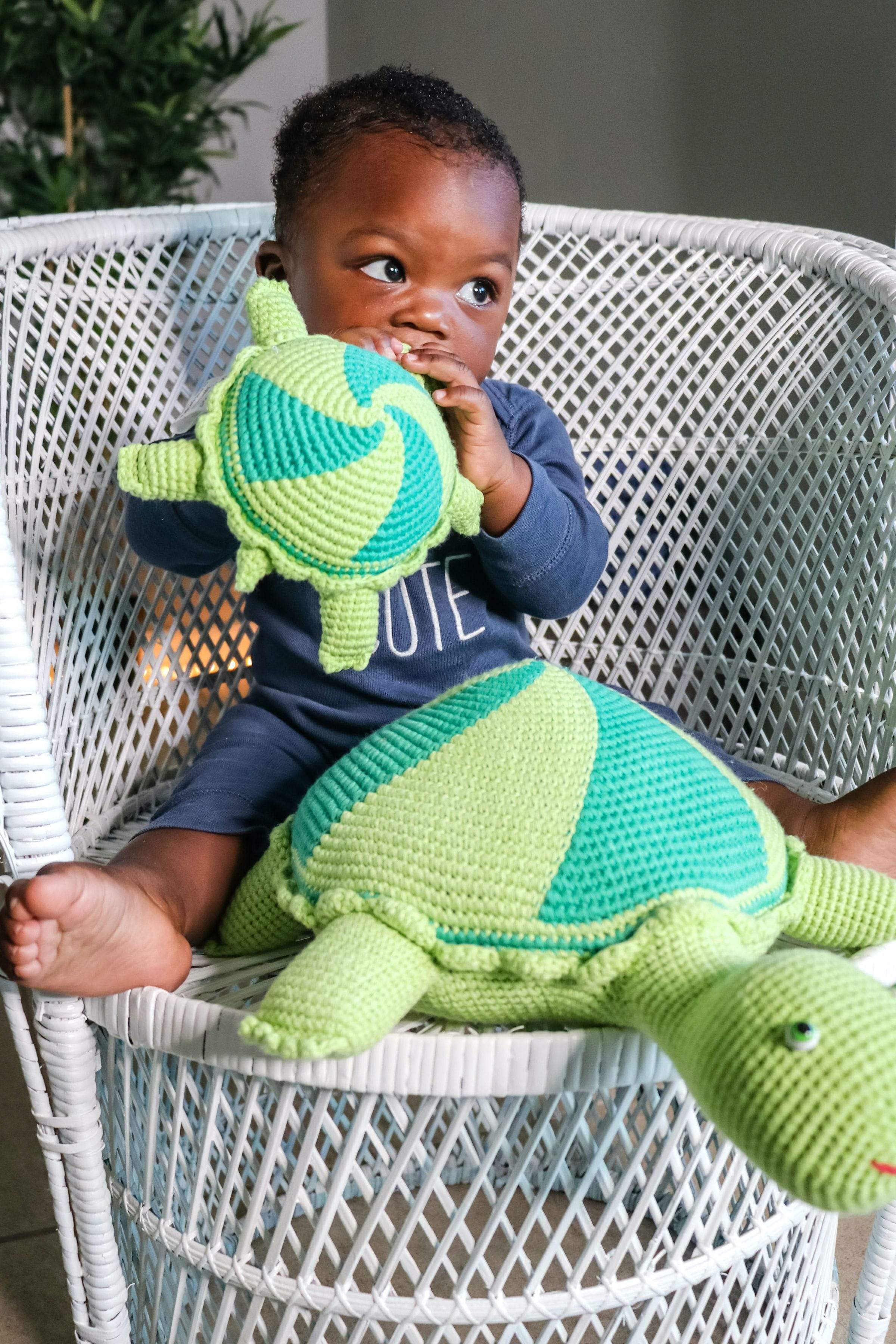 Thelma And Louse The Turtles