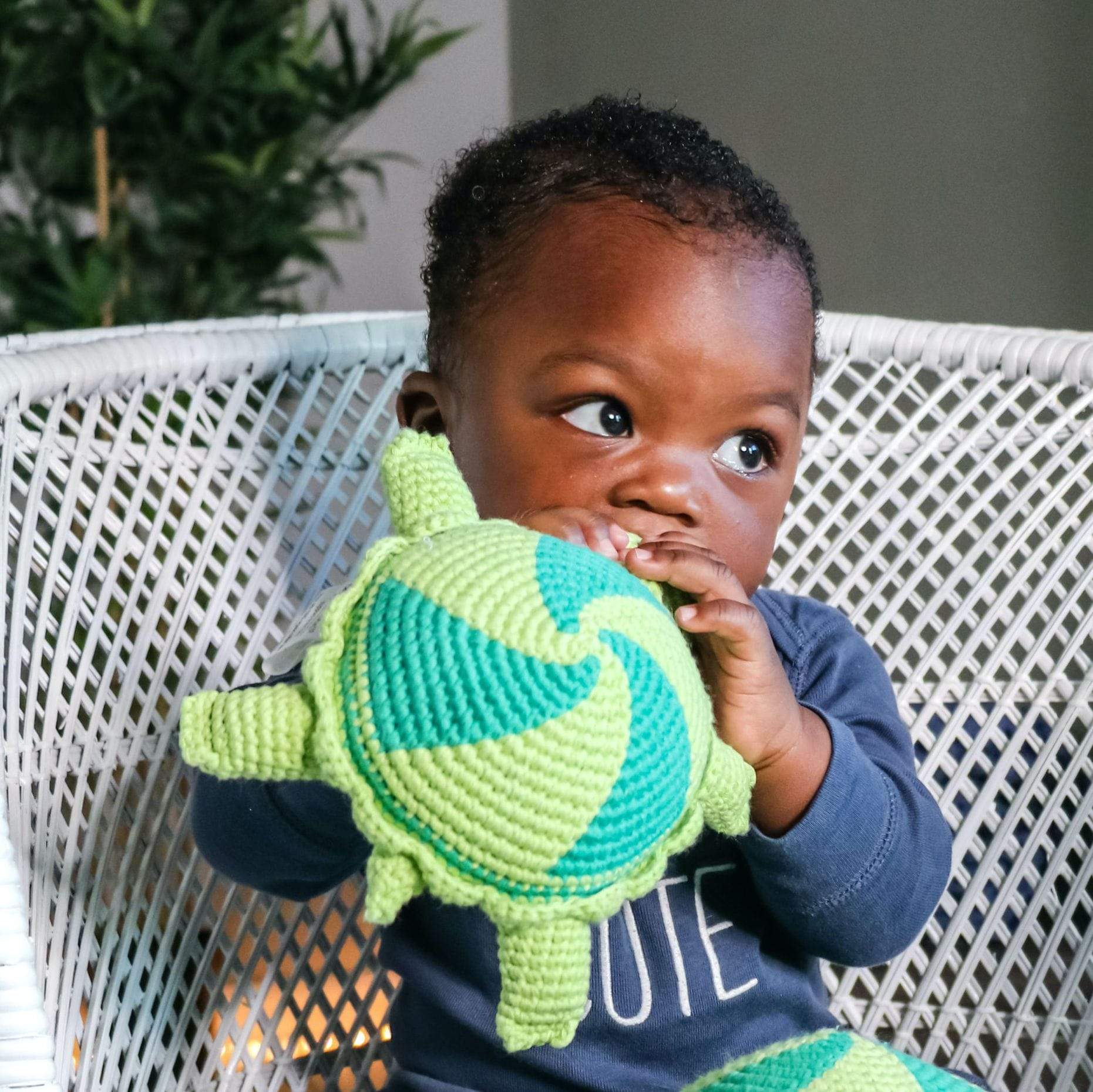 Thelma And Louse The Turtles