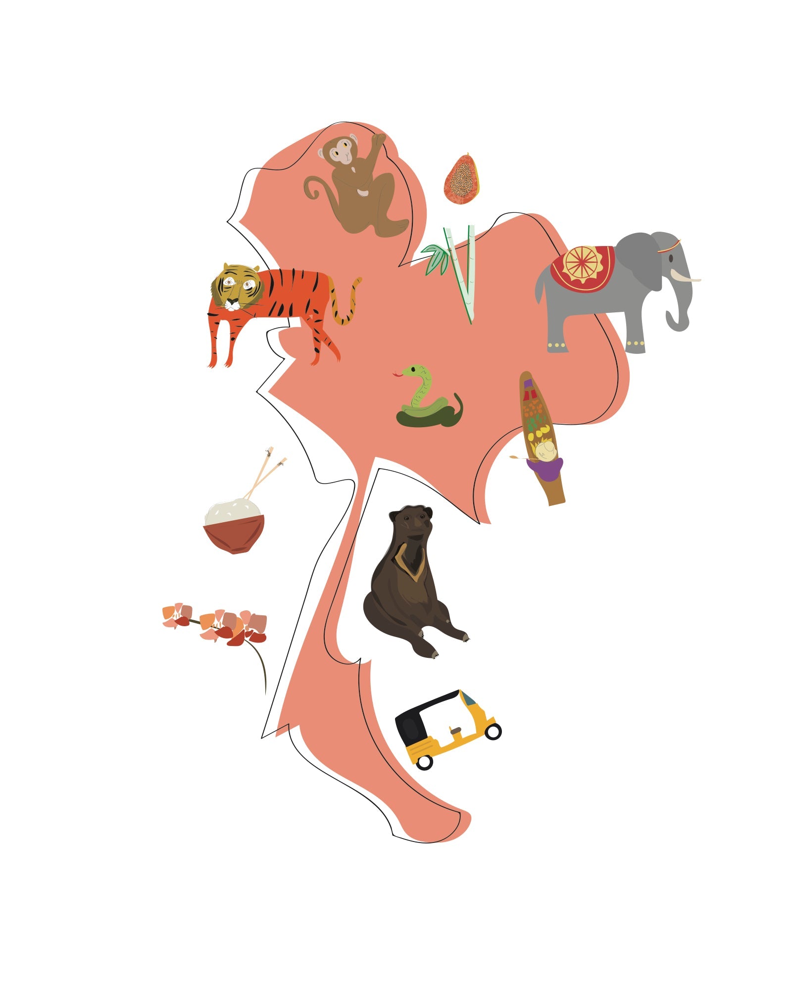 Toco Can Can: And You Can Too!