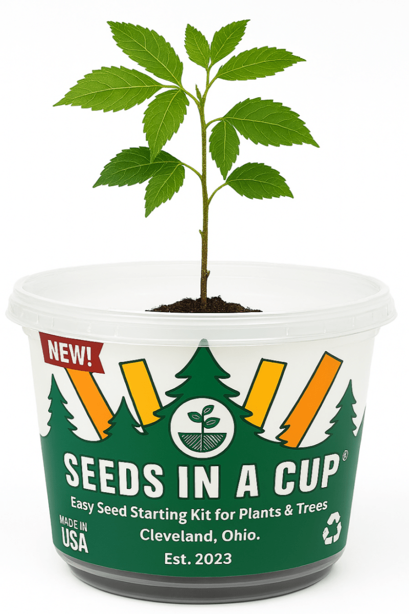 Cabbage | Plant Seed Starter Grow Kit |