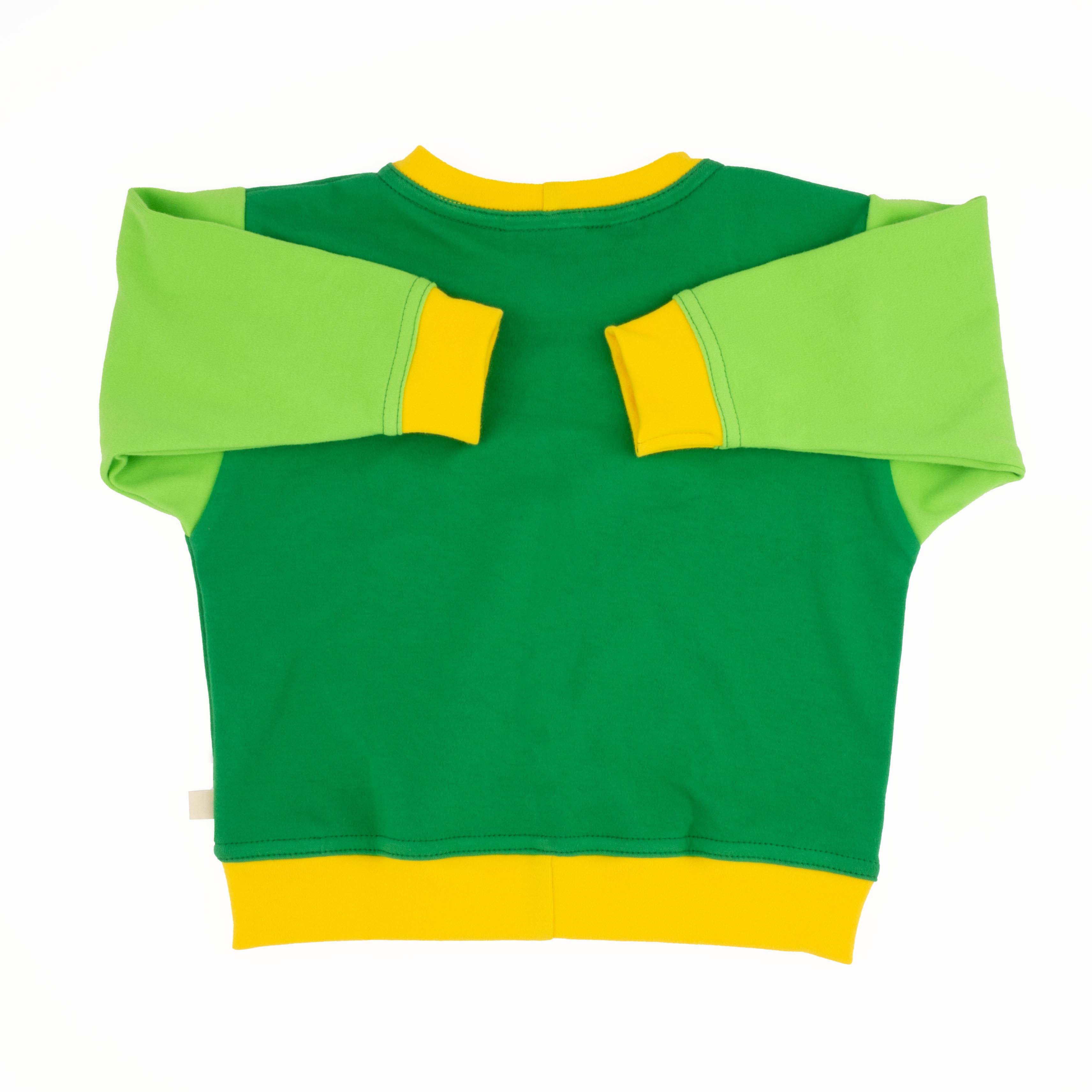 Toddler Colorblock Sweatshirt