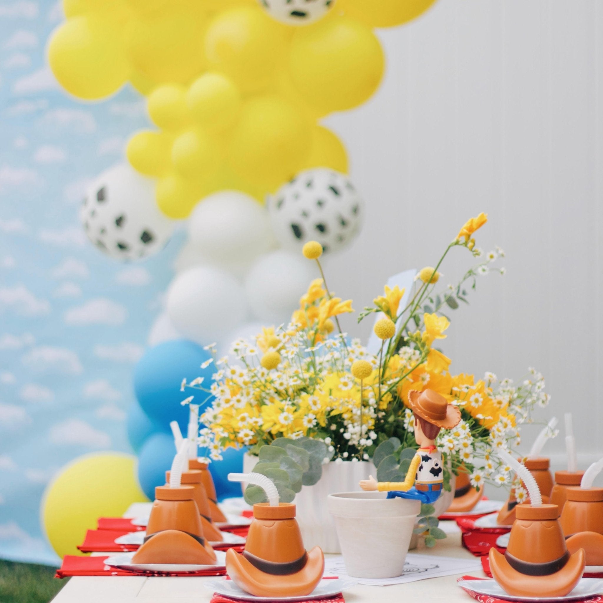 Western Balloon Garland Kit