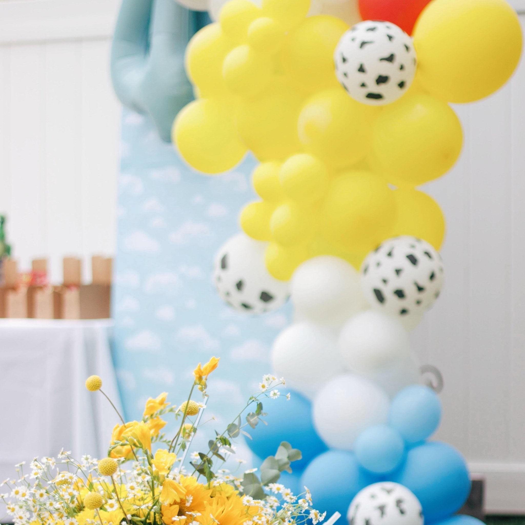 Western Balloon Garland Kit