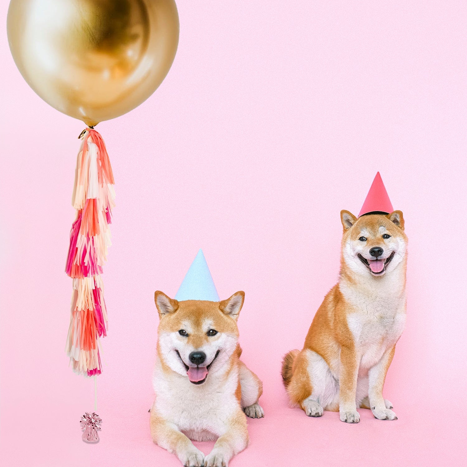 Tropical Tassel Tail