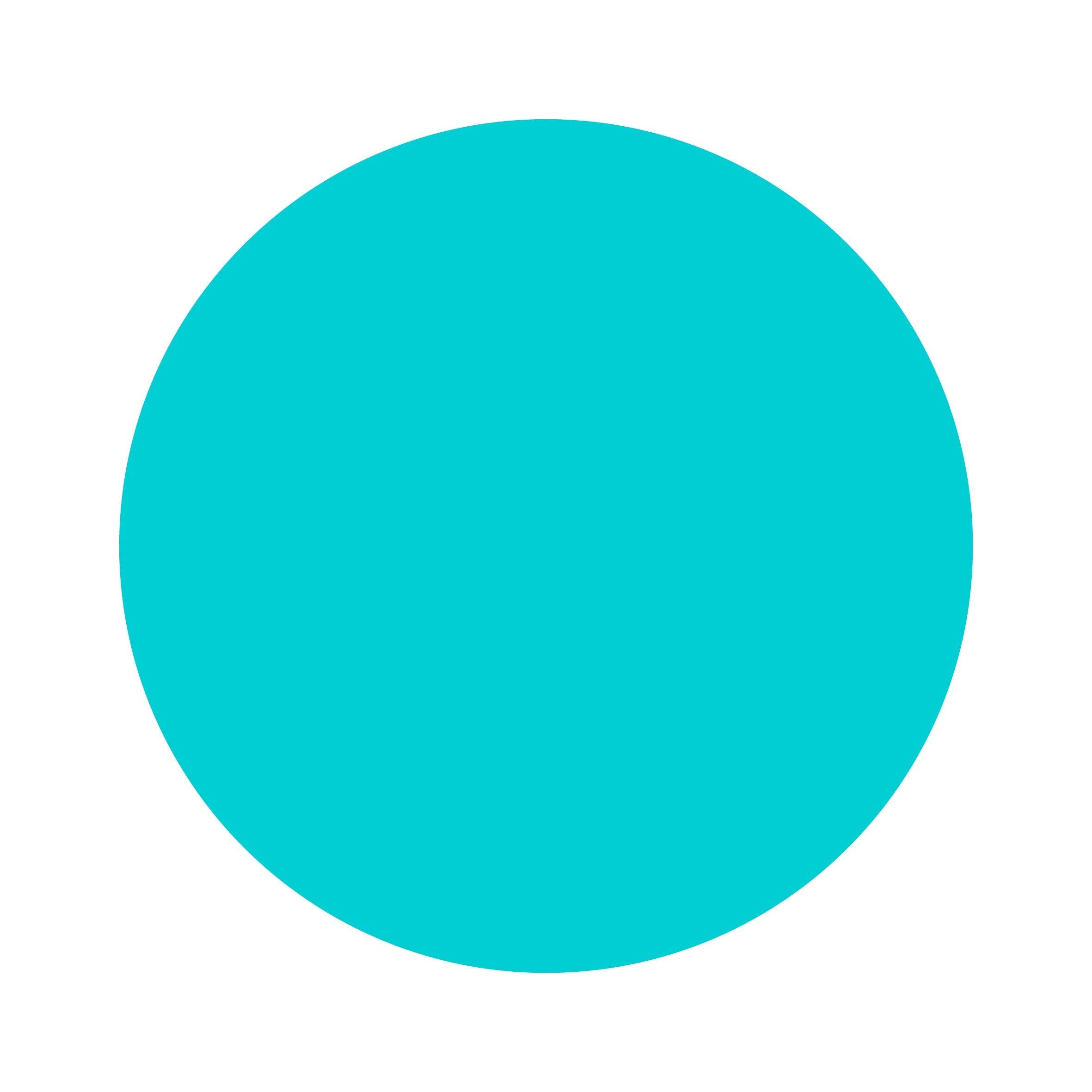 Turquoise | Bamboo Scrunchie