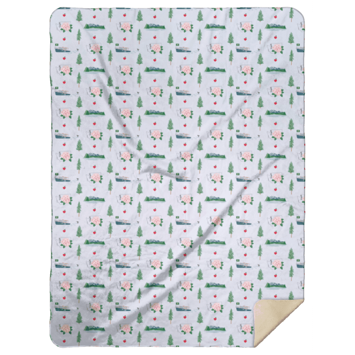 Washington State Plush Throw Blanket 60x80