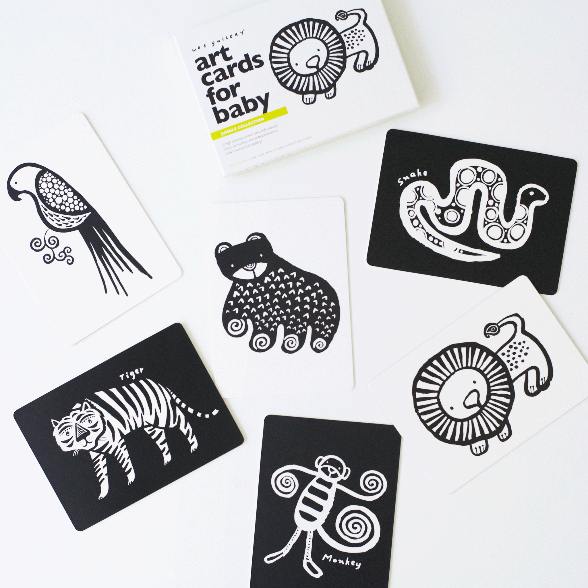 Art Cards For Baby - Jungle Collection