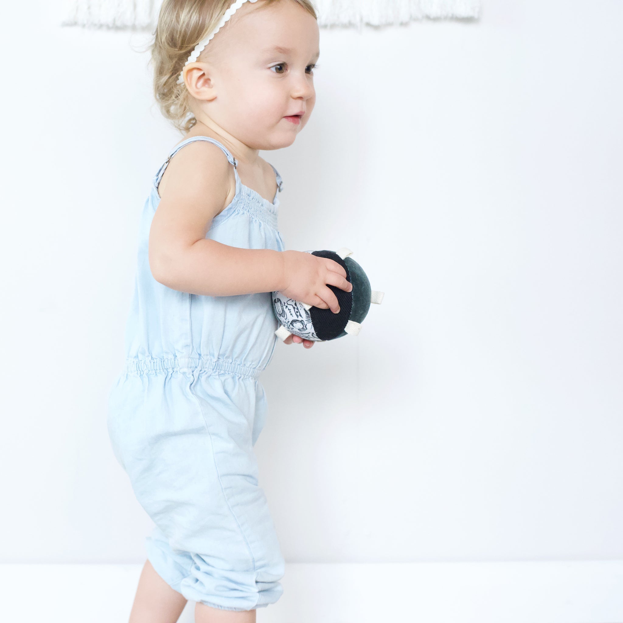 Taggy Ball With Rattle - Wild