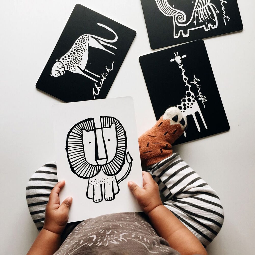 Art Cards For Baby - Jungle Collection