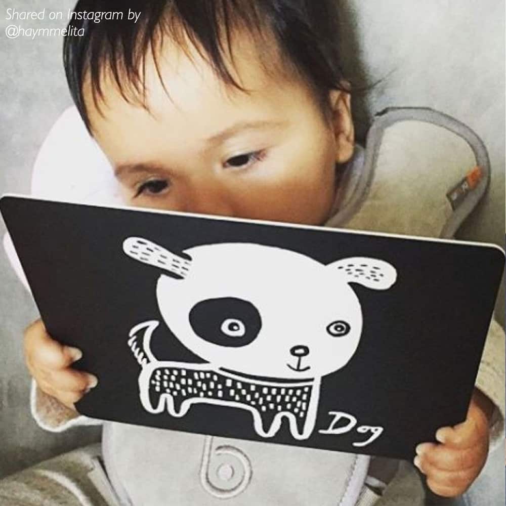 Art Cards For Baby - Pets Collection