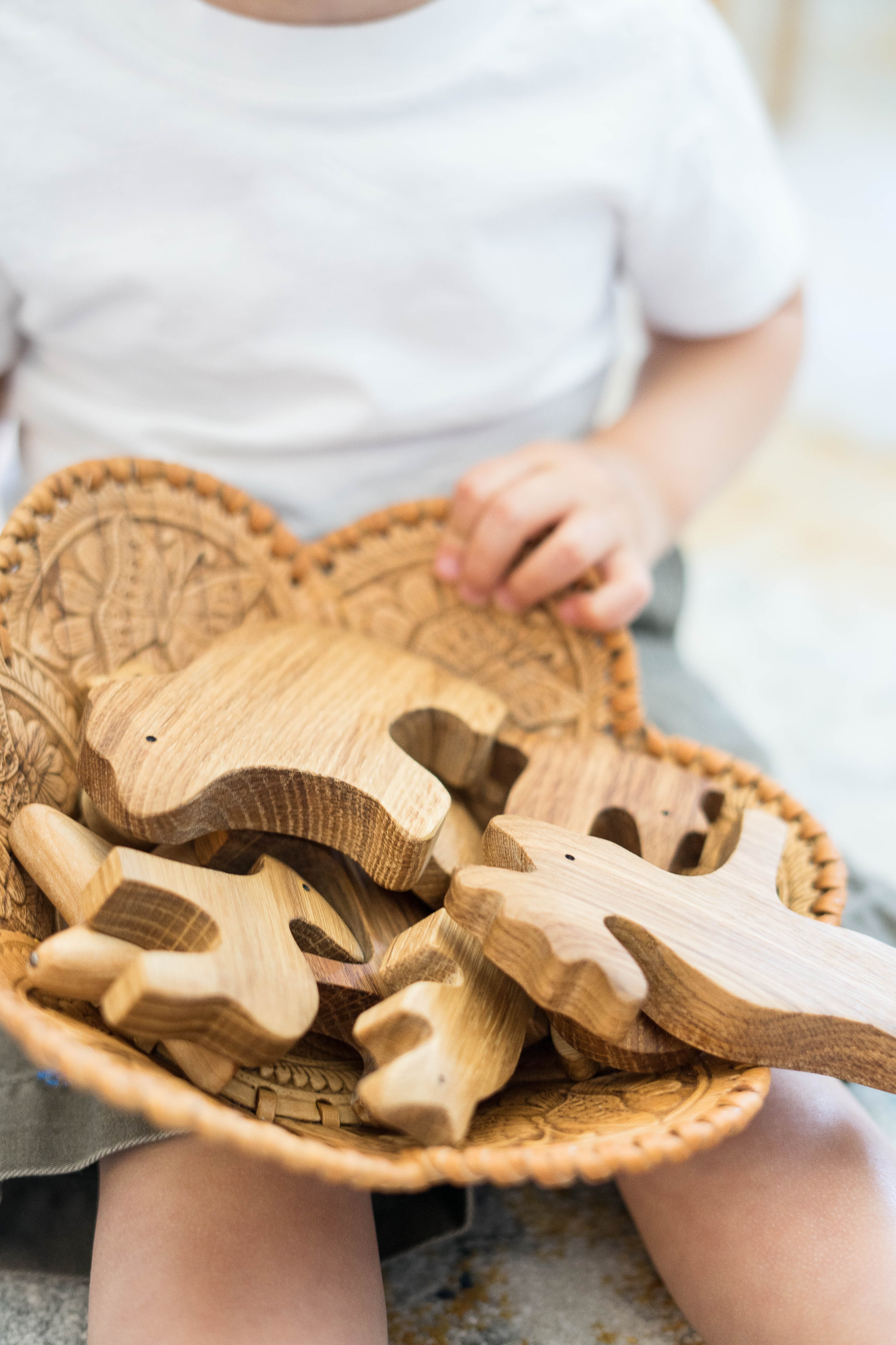 Natural Wooden Forest Animals Set Of 9