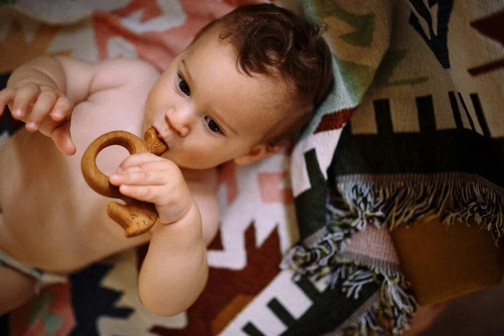 Organic Wooden Teether Toy Horse