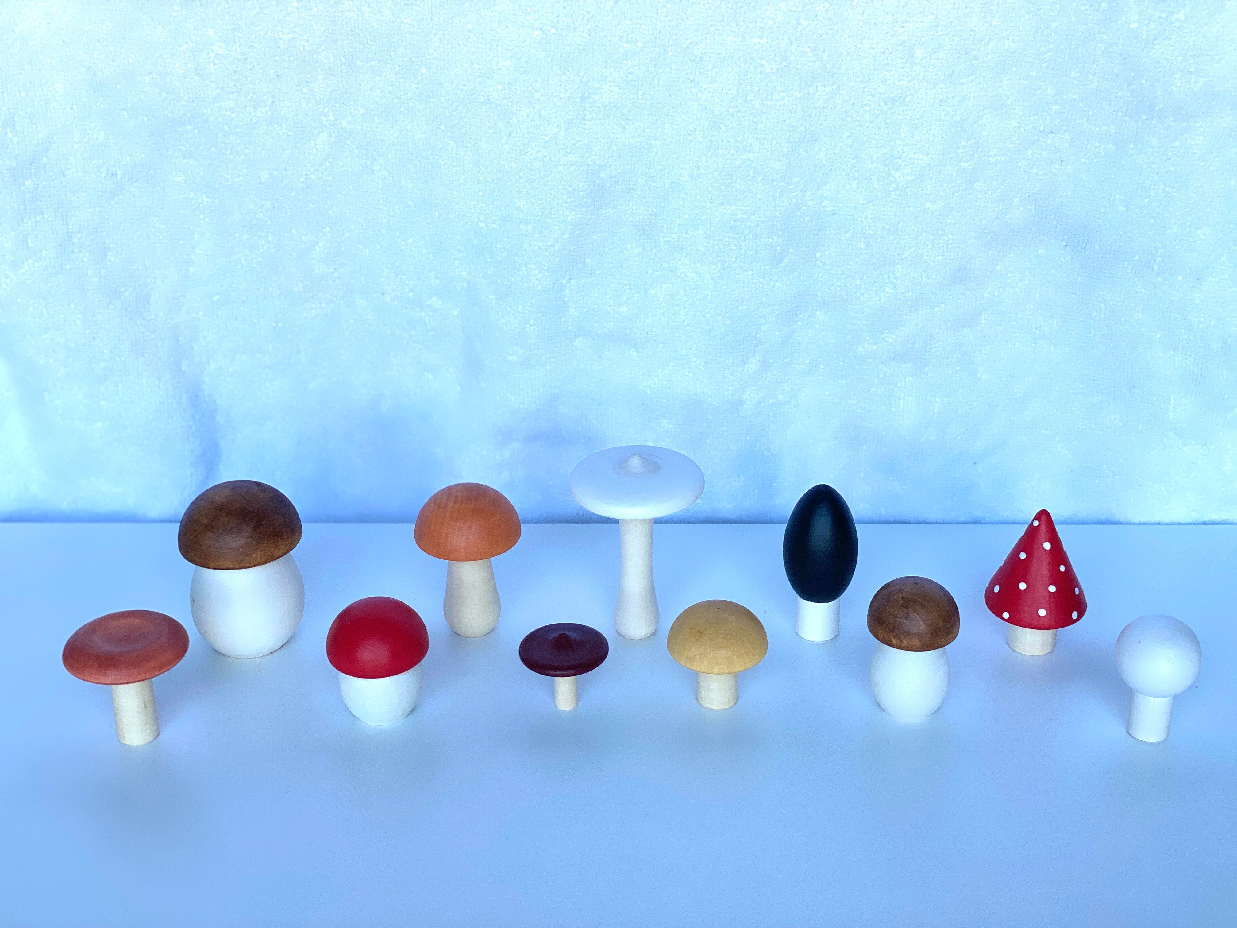 Wooden Mushroom Toys Set Of 11