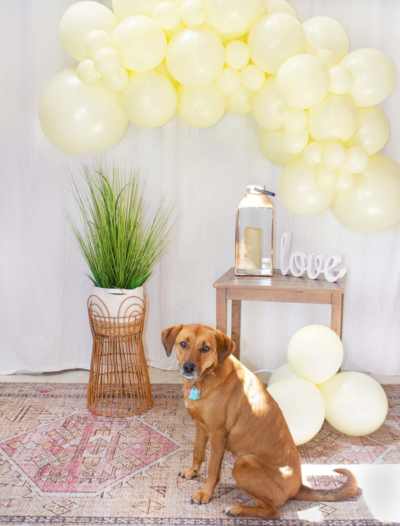 Yellow Balloon Garland
