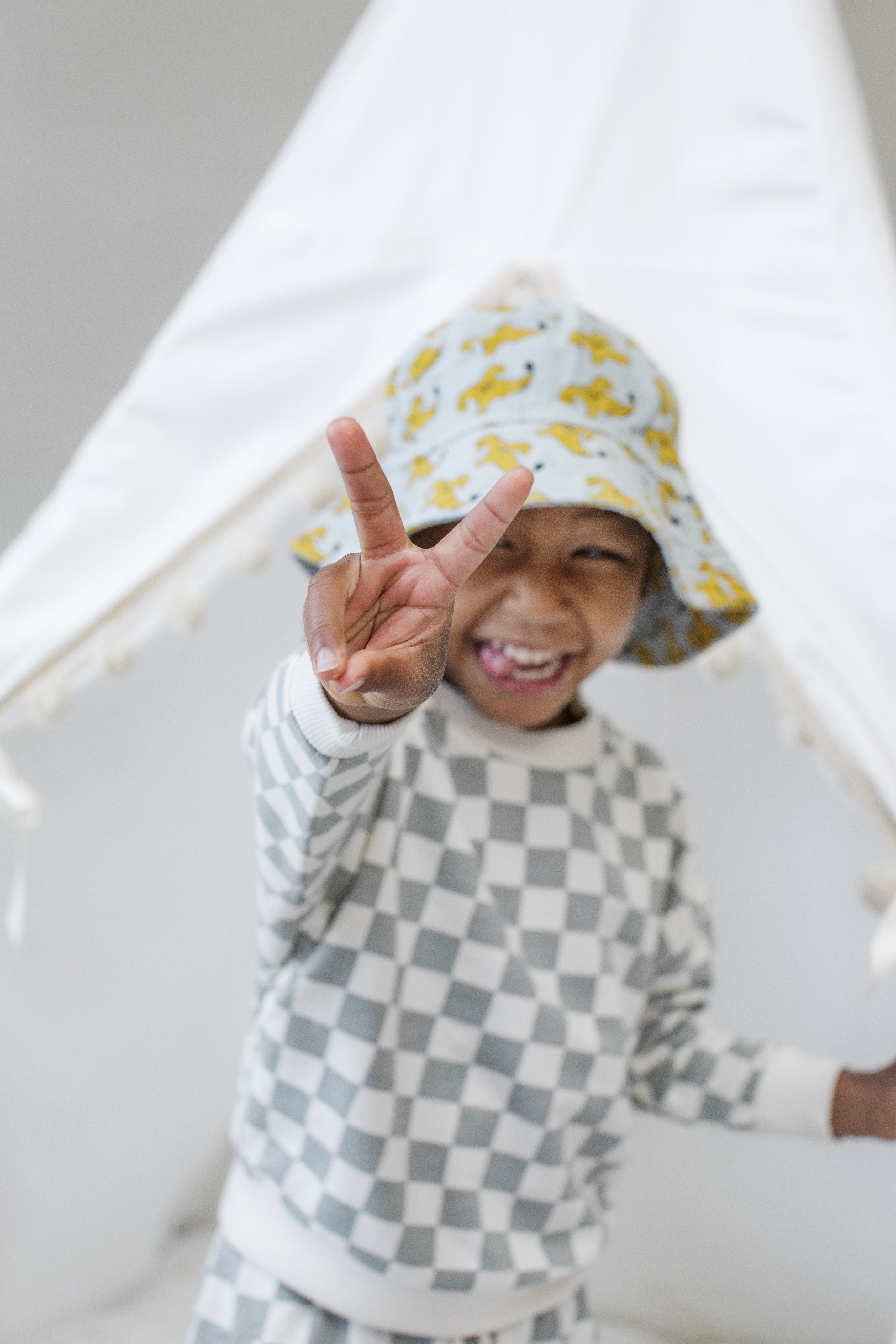 The Skylar Play Tent