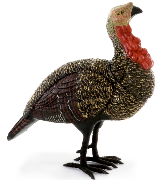 Turkey Henlarge