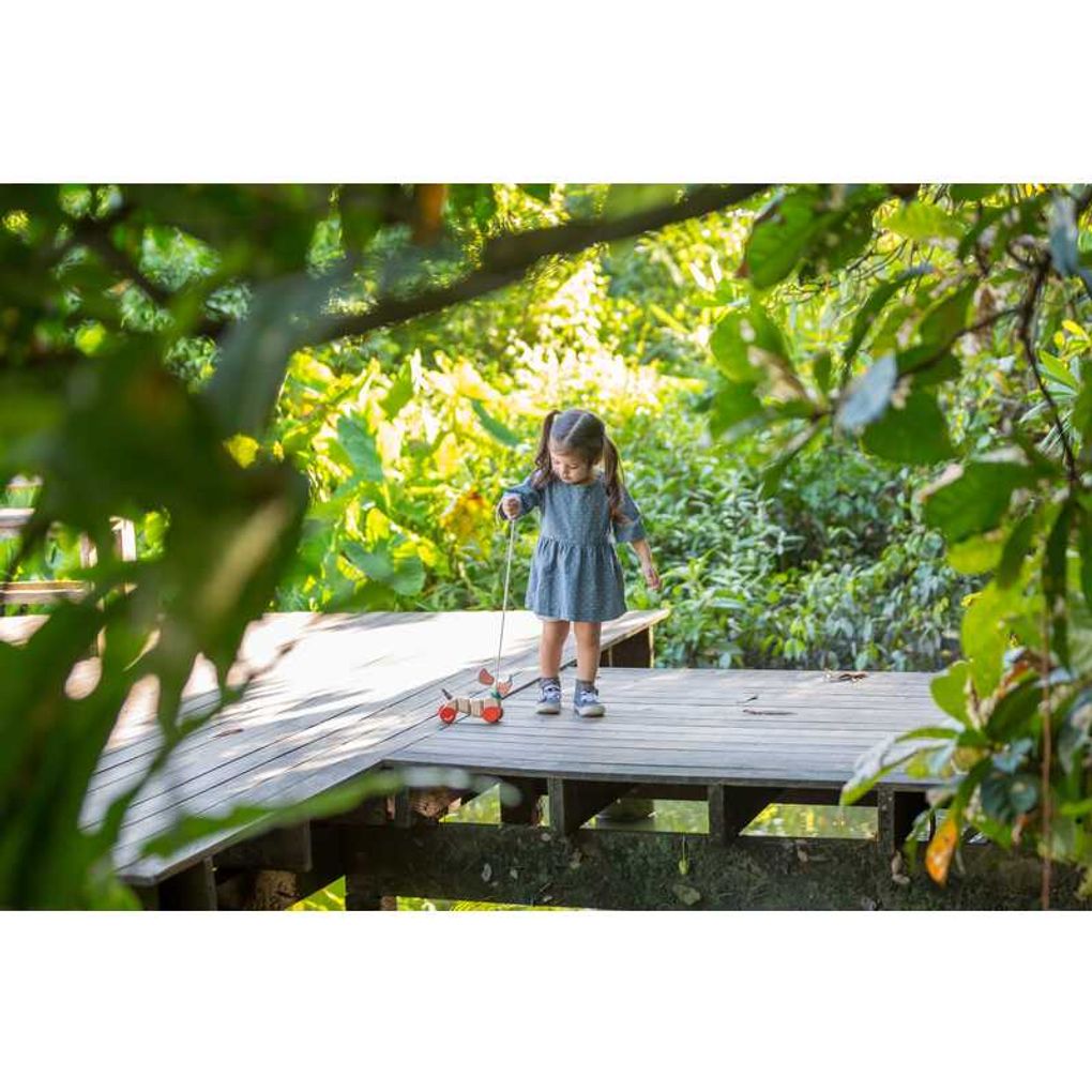 PlanToys Happy Puppy Push & Pull