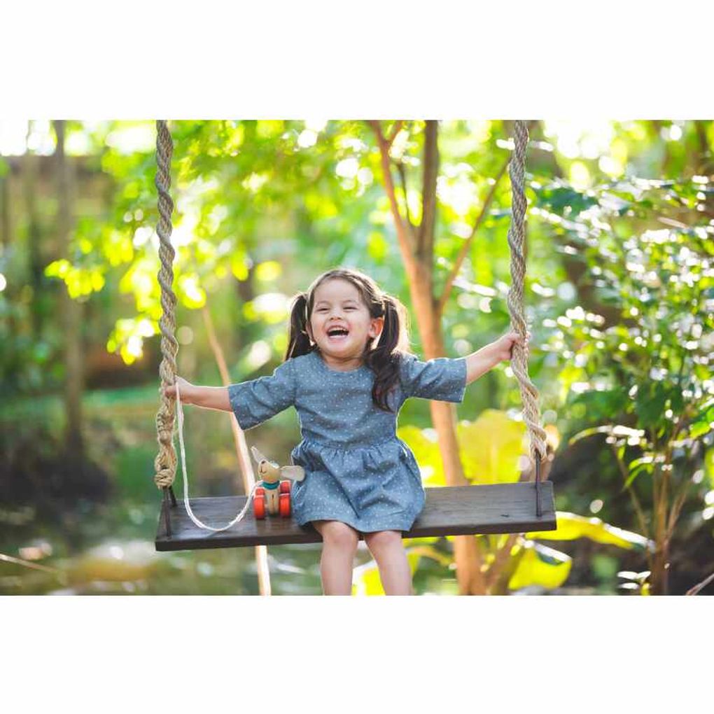 PlanToys Happy Puppy Push & Pull