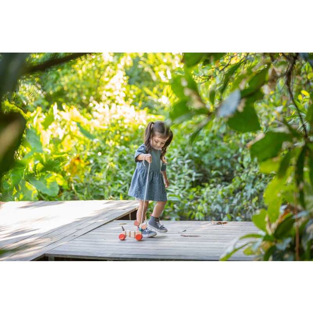 PlanToys Happy Puppy Push & Pull