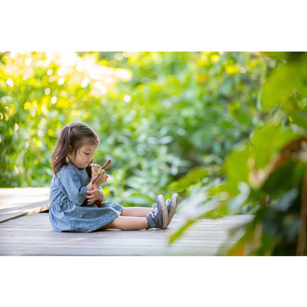 PlanToys Happy Puppy Push & Pull