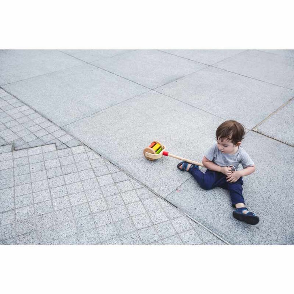 PlanToys Walk N Roll Push & Pull