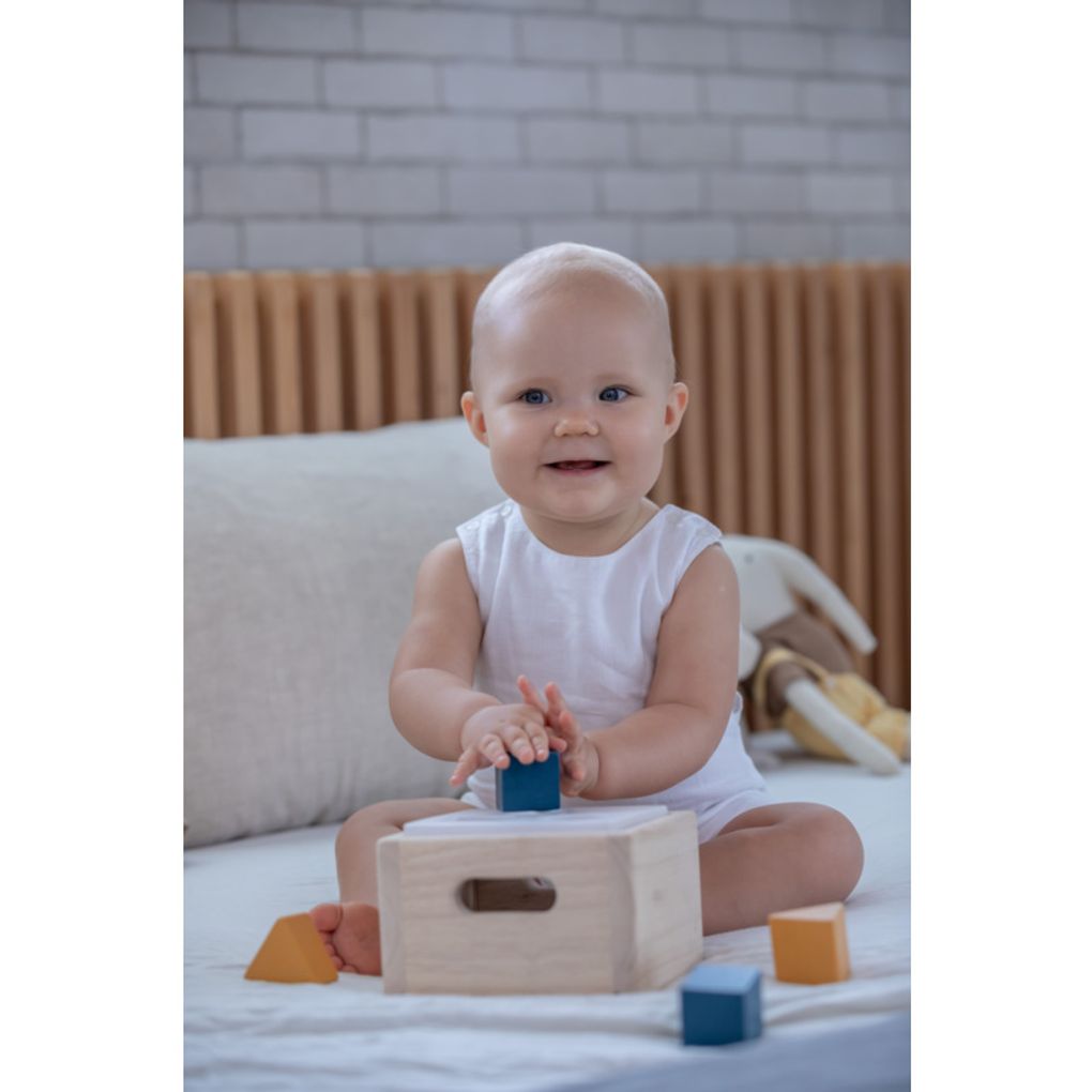 PlanToys Shape & Sort It Out - Orchard Sorting Toy