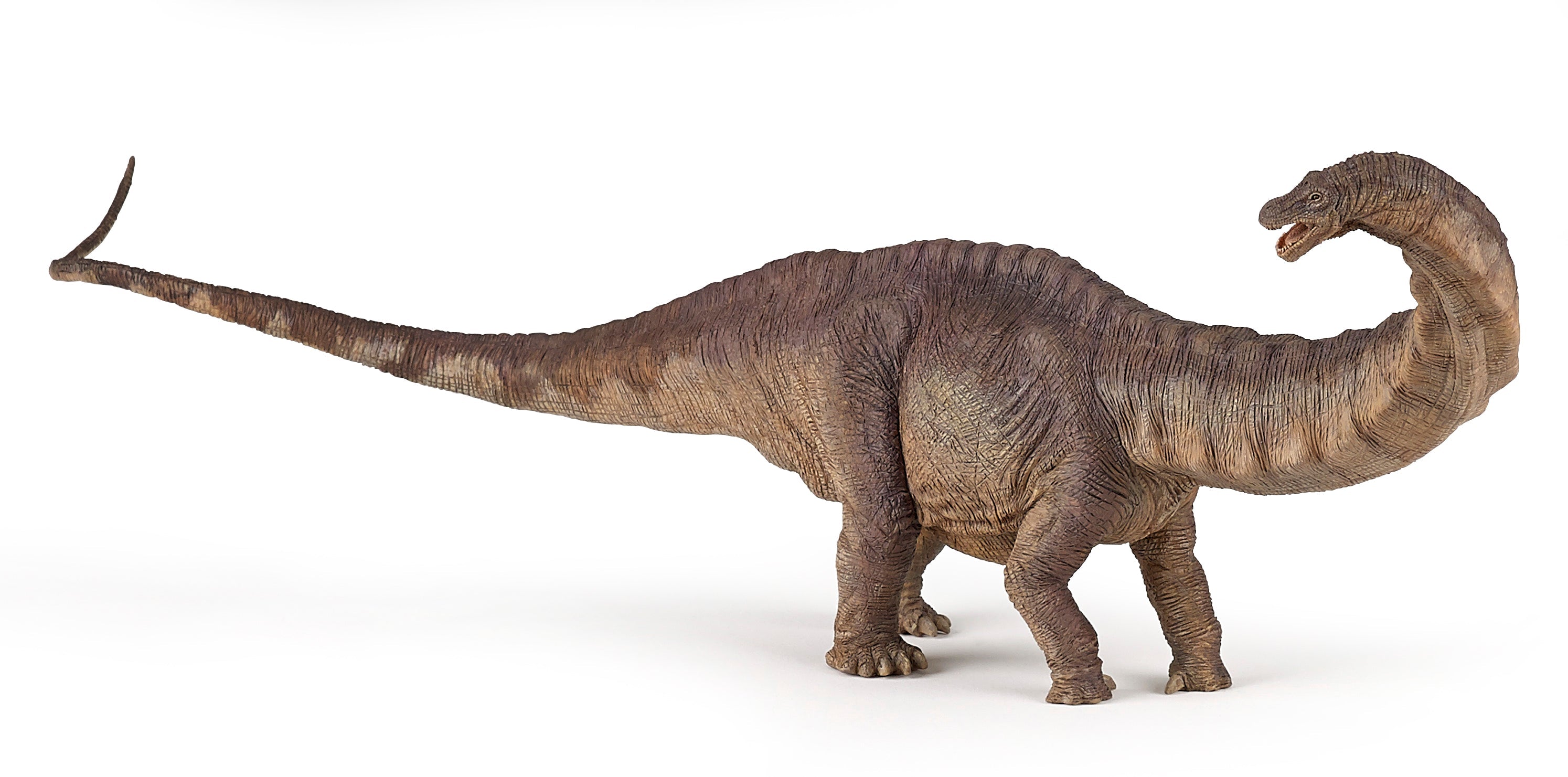 Papo France Apatosaurus