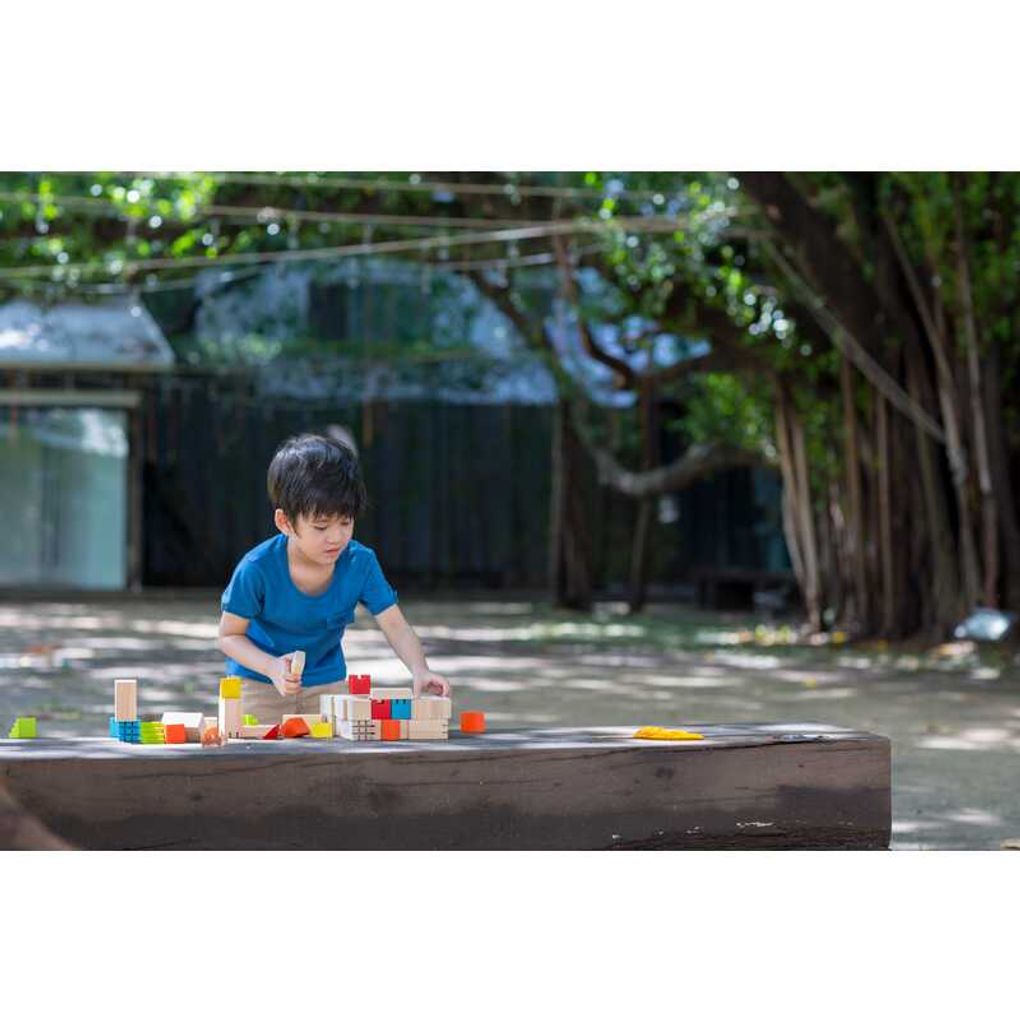 PlanToys Creative Blocks Building Block