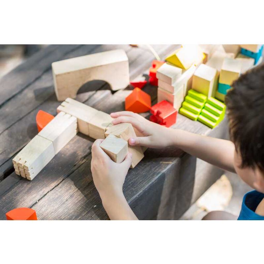 PlanToys Creative Blocks Building Block
